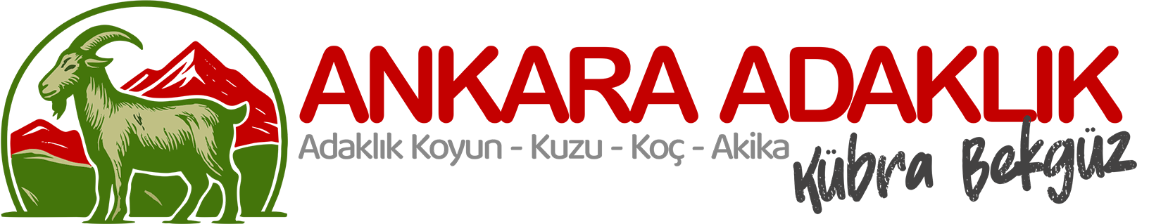 Ankara adaklık Kurban Kübra bekgüz